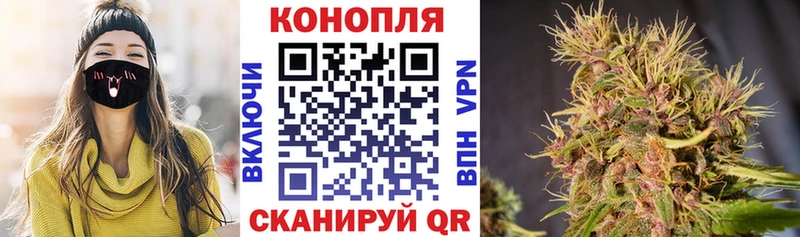 Канабис OG Kush  Сковородино 